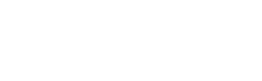 Zari logo